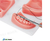 Pad Praktek Suture Luka Sentuh Oral yang Realistis Untuk Pendidikan Gigi